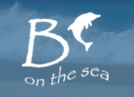 Luxury Villa Anguilla 'B On The Sea' Logo